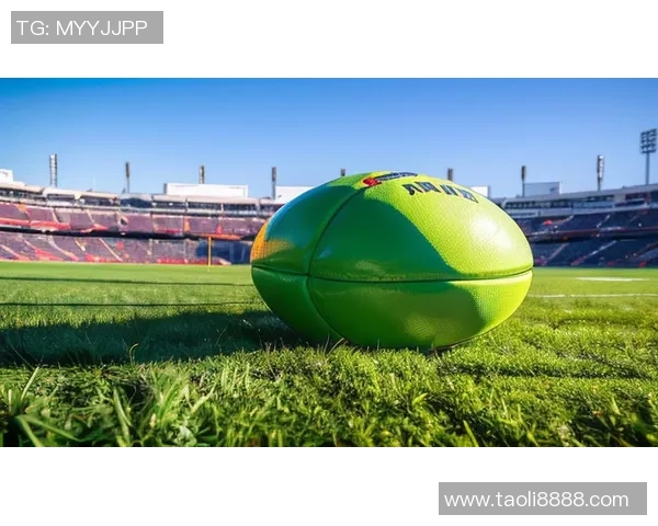 绿茵场上闪耀的英雄颂歌献给用激情与荣耀书写传奇的足球巨星